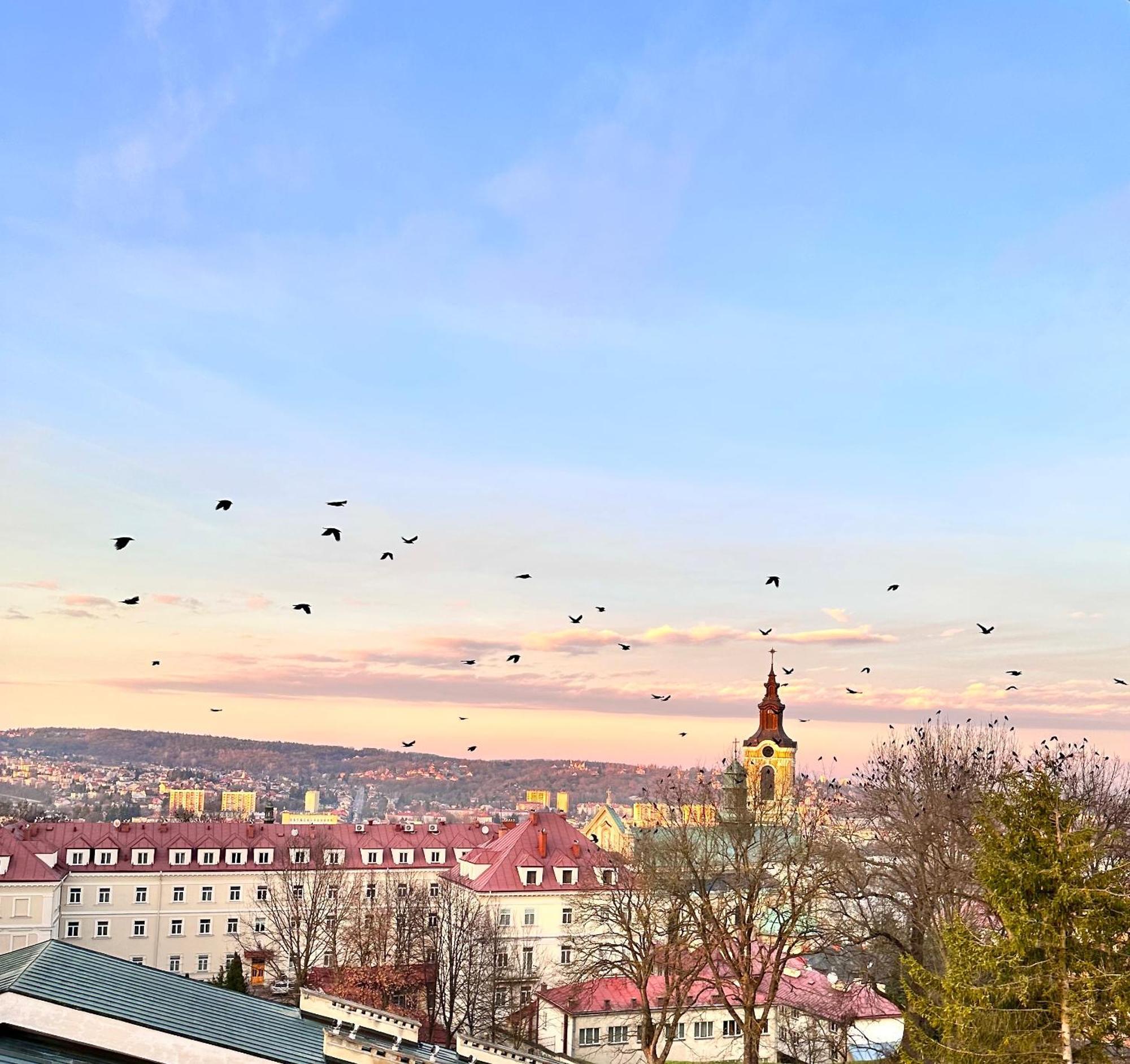 Apartament Z Panorama Przemyśl Esterno foto